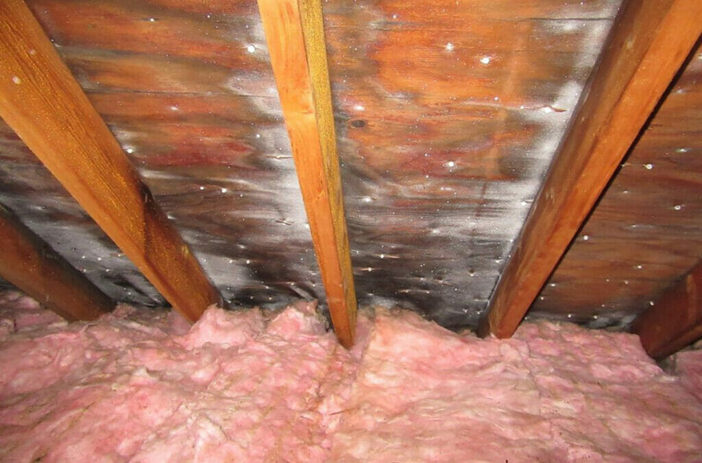 How Can Insulation Extend the Life of a Roof?