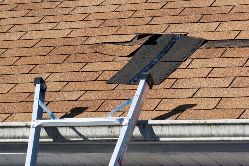 roof maintenance tips in Port Orchard