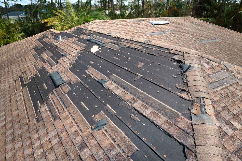 Why Your Kitsap Home Might Need a New Roof: Signs It’s Time for a Change