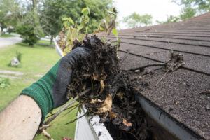 bigstock-Worker-Cleaning-Gutters