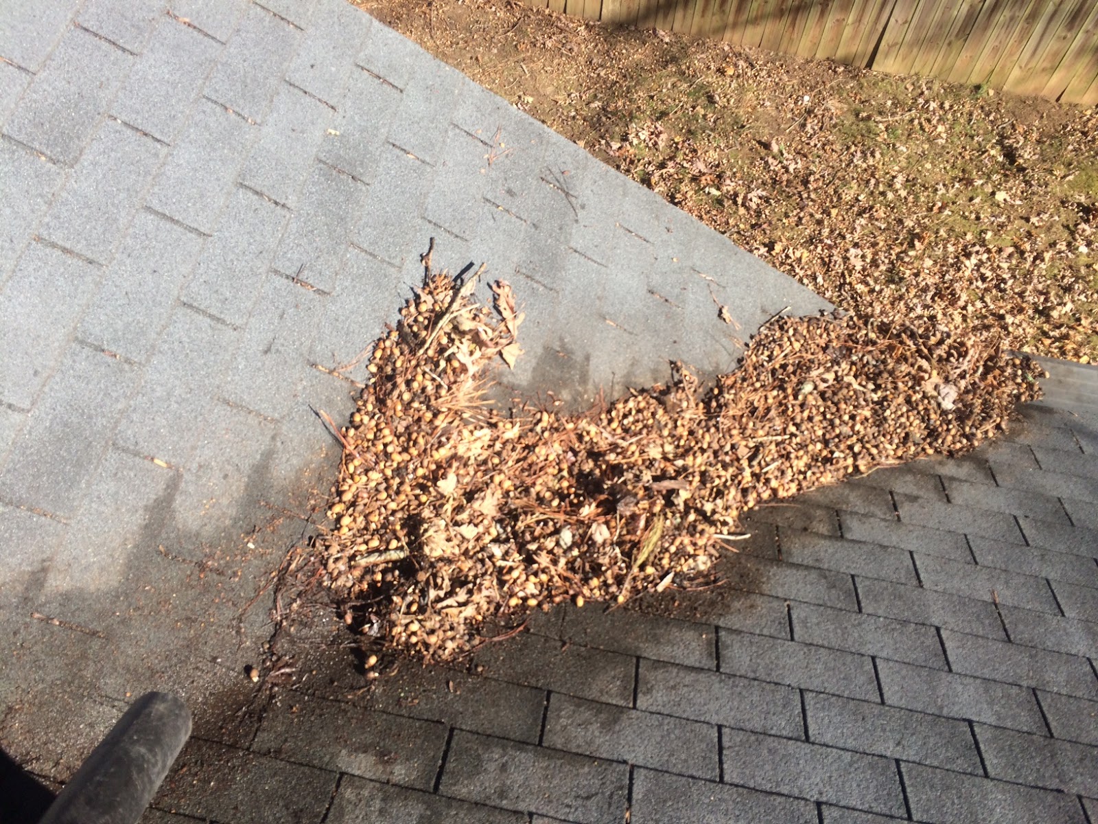 Protect Your Roof: 4 Gutter Maintenance Tips