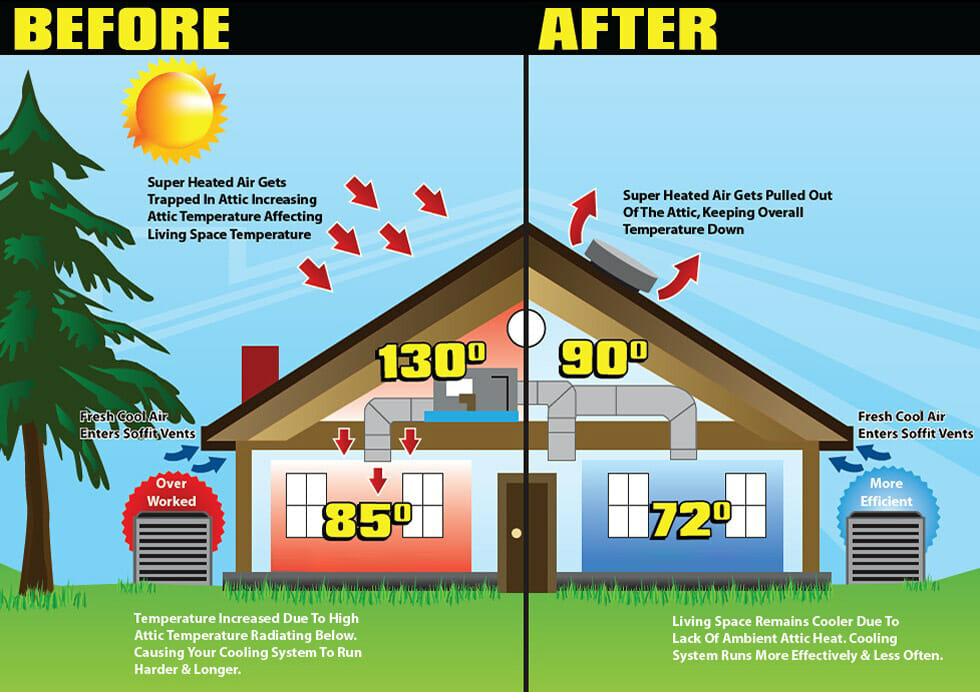 5 Reasons You Need Regular Attic Inspections