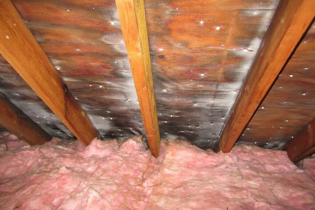 Installing Beams image