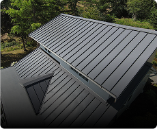 Metal Roofing