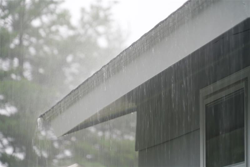 Top 5 Signs You Need a New Roof in the Pacific Northwest