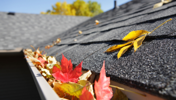 Fall Roof Maintenance: 5 Essential Steps to Protect Your Home Before Storm Season Hits