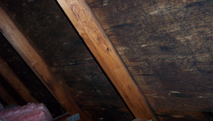 Attic Ventilation 101: What Every Kitsap County Homeowner Should Know