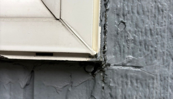 Identify Potential Exterior Leaks Before They Become an Interior Problem