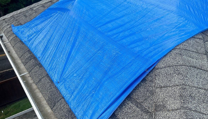 Relentless Storms: How Ice, Wind, and Rain Batter Western WA Roofs