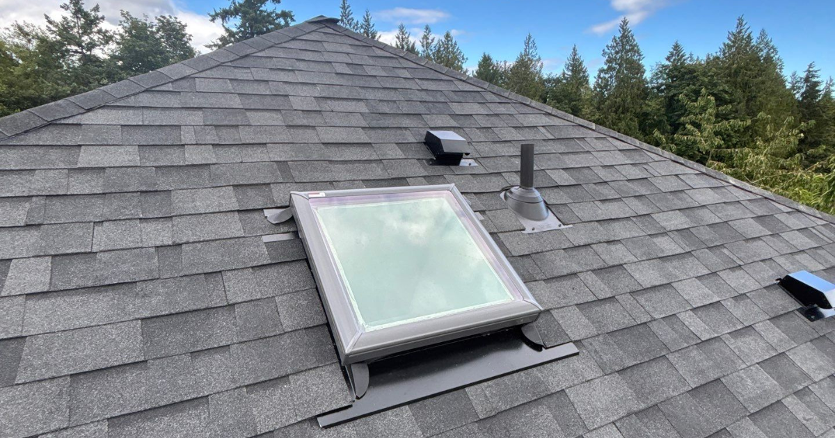 Roof penetrations include pipes, vents, and skylights. 