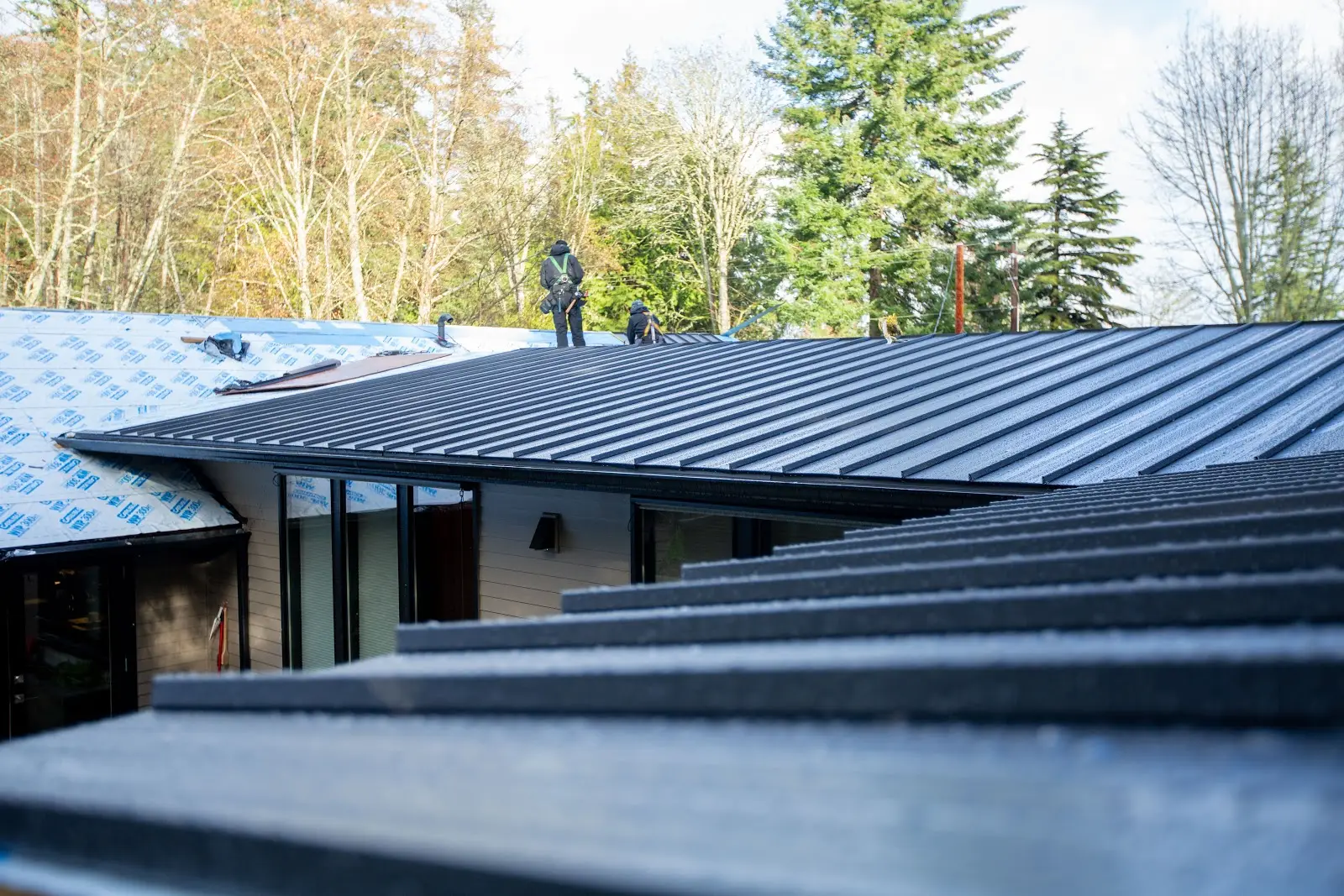 Roof top
