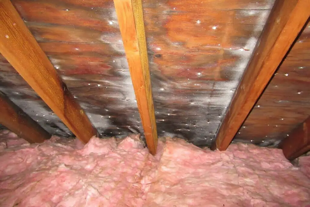 Installing Beams image