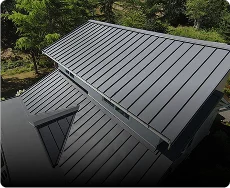 Metal Roofing