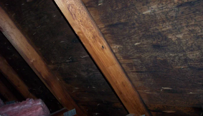 Attic Ventilation 101: What Every Kitsap County Homeowner Should Know