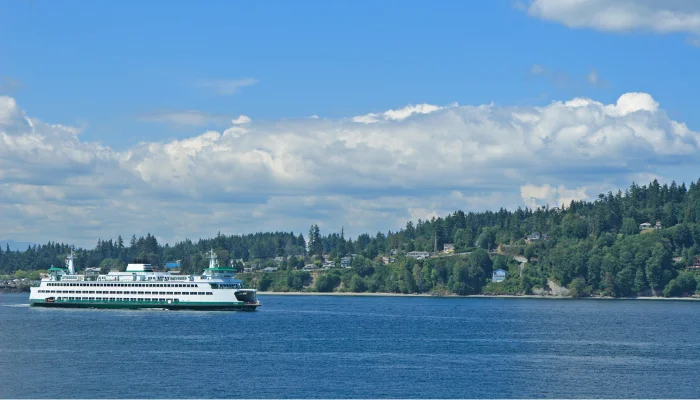 Your Roof's Lifespan is Impacted by the Puget Sound Micro-Climates