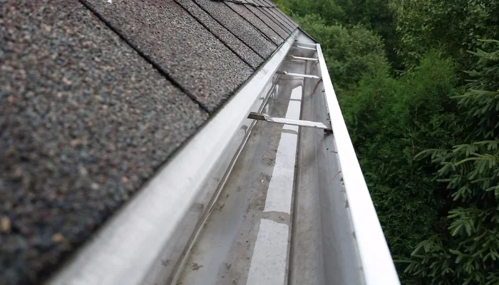 The Role of Gutters, Fascia & Roof Edge Design in Preventing Water Damage in Western Washington