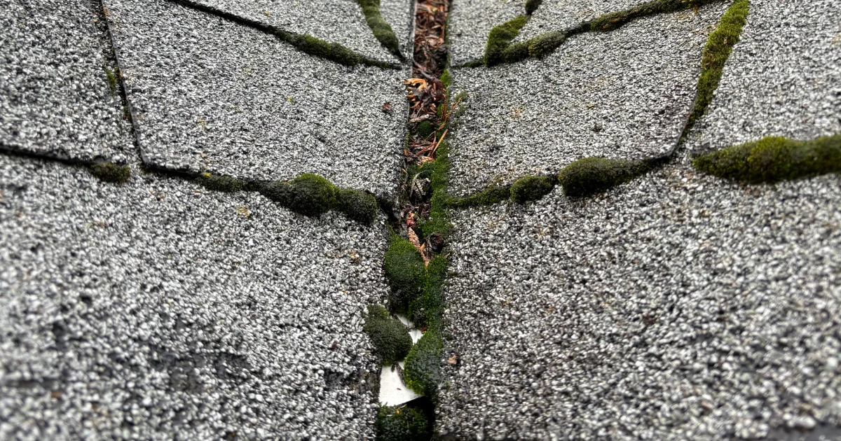 The Ultimate Spring Roof Checklist Every Puget Sound Homeowner Needs (2)