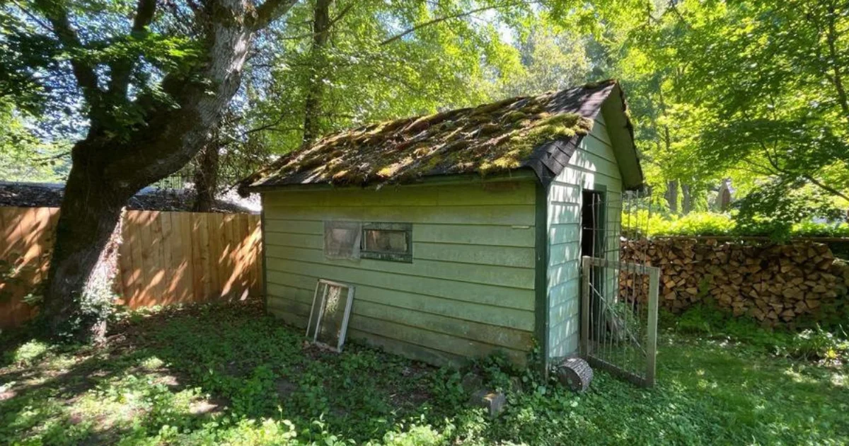The Ultimate Spring Roof Checklist Every Puget Sound Homeowner Needs (2)
