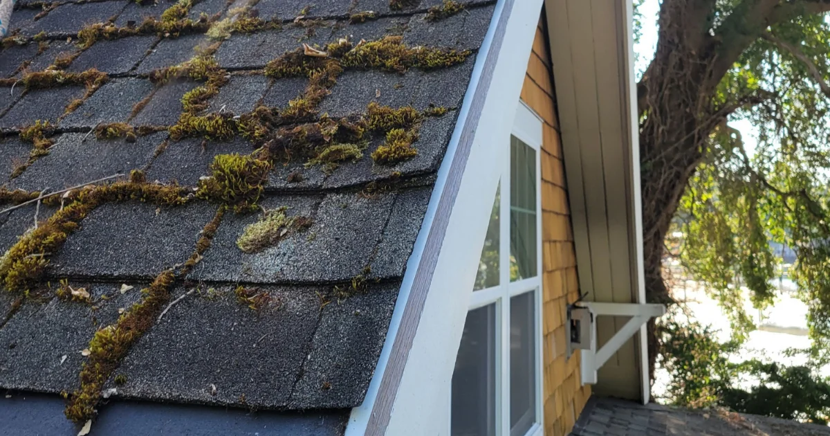 The Ultimate Spring Roof Checklist Every Puget Sound Homeowner Needs