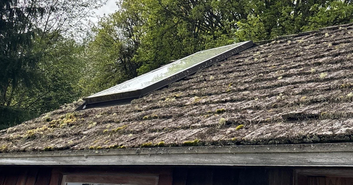building envelope, roof with moss