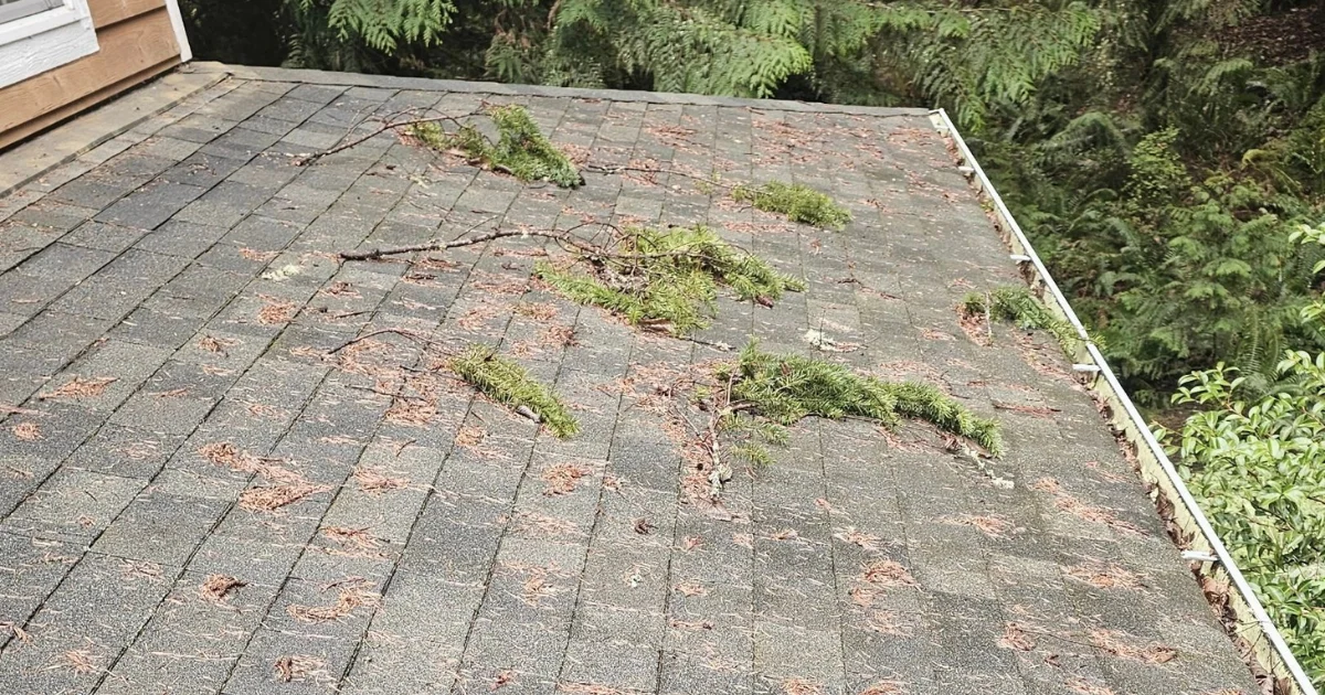 Roof that needs to be cleaned and maintained to maximize lifespan