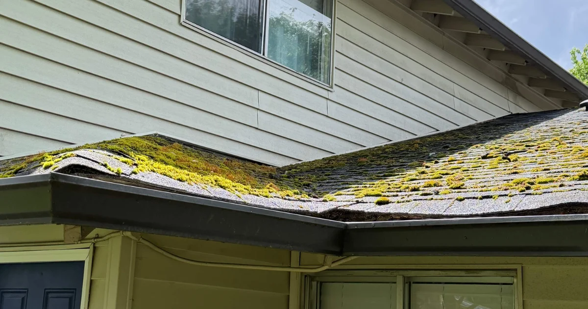 Old roof that needs a replacement