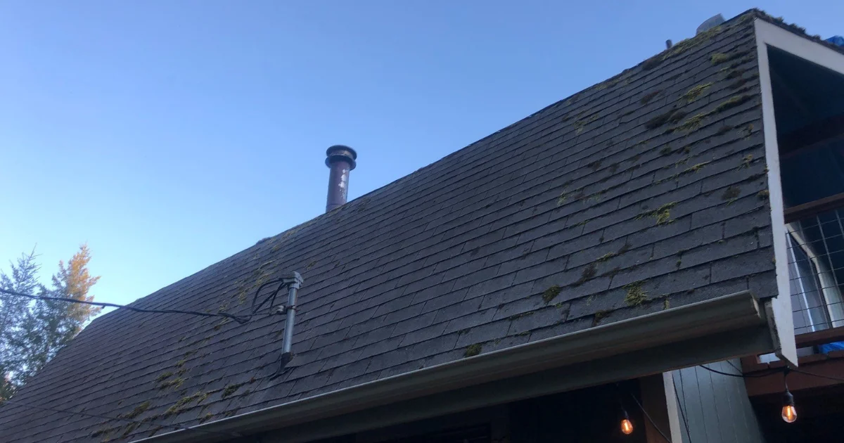 Moss on roof, roofing maintenance needed
