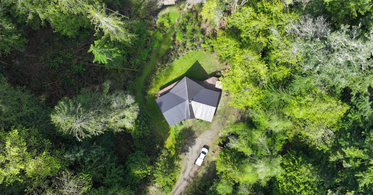Quiet Roof Damage in the Pacific Northwest: How Cedar, Hemlock, and Fir Debris Cause Hidden Damage