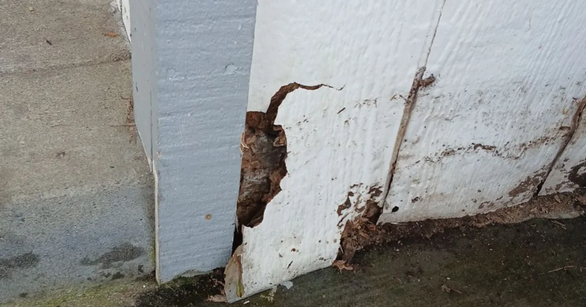 painted siding struggling in the PNW conditions