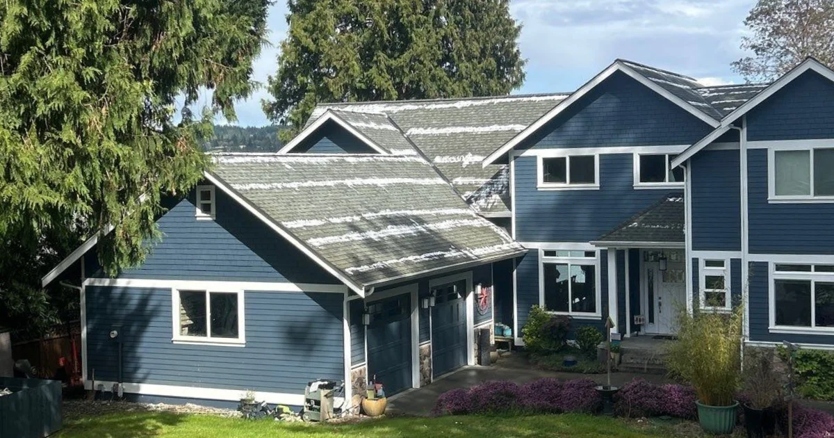 roof cleaning