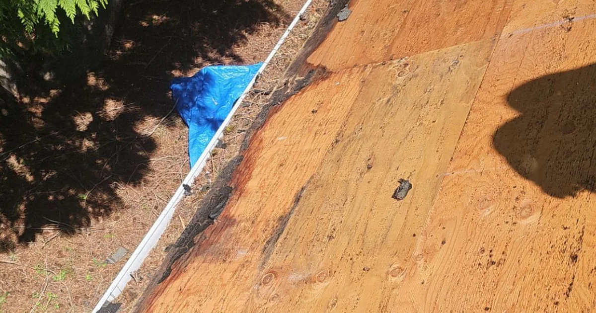 Clogged gutter