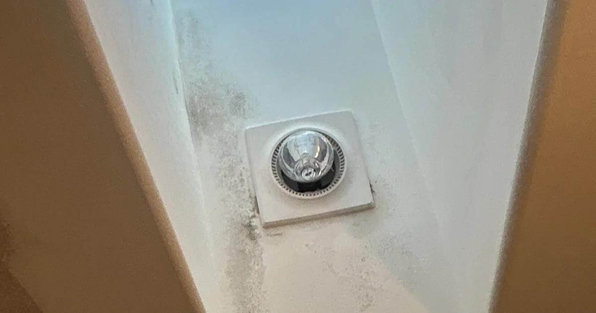 ceiling stains