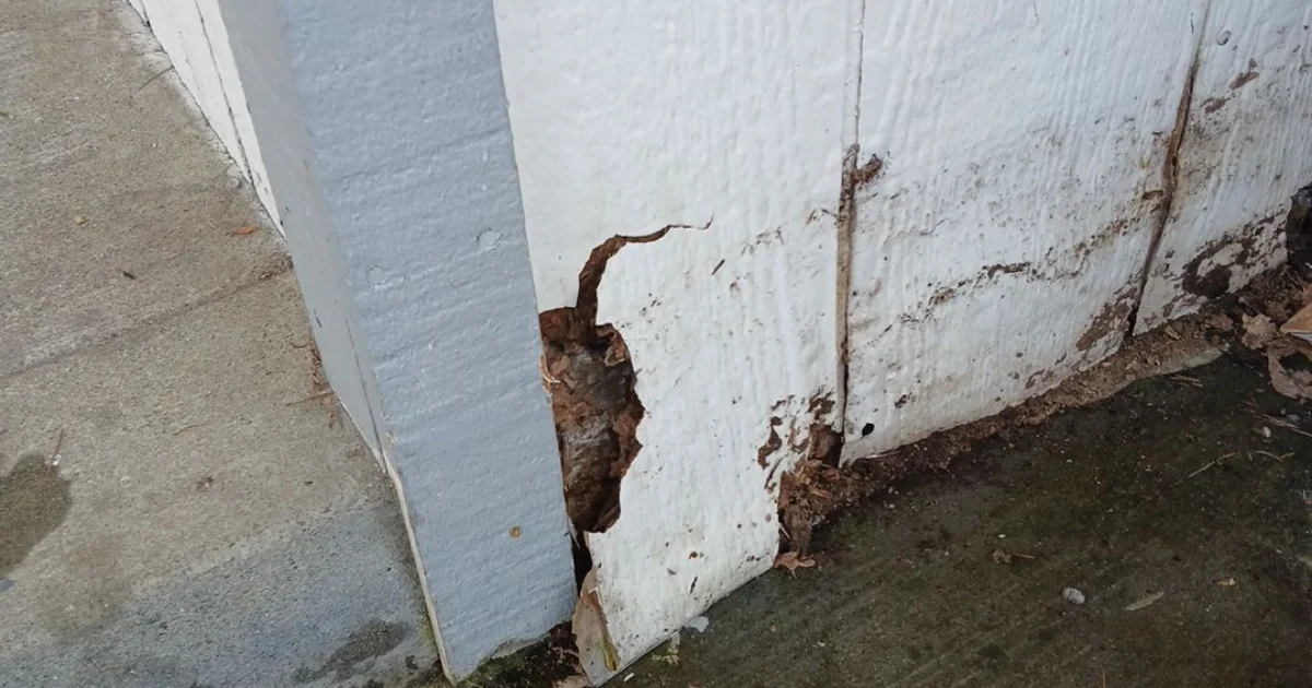 Siding failing, moisture issues