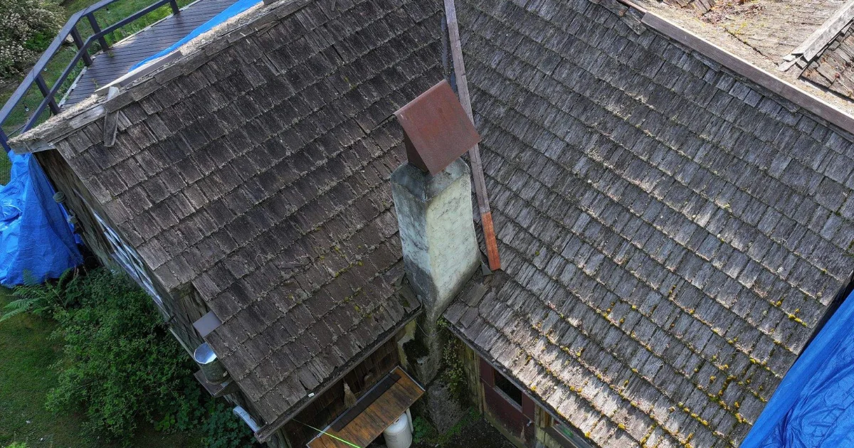Debris and moss on roofs in Kitsap County
