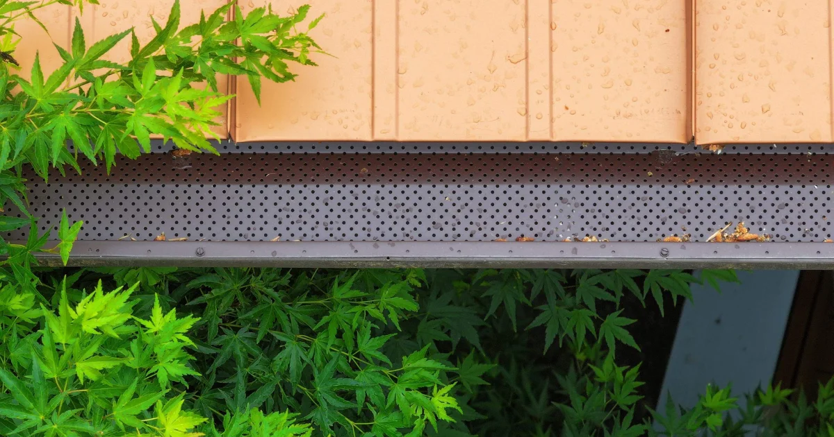Do Gutter Guards Actually Work in the PNW? What Homeowners Don’t Realize Until It’s Too Late