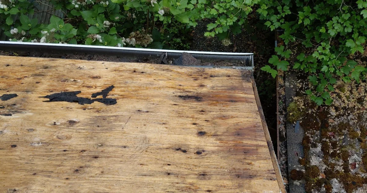 gutter in bad condition