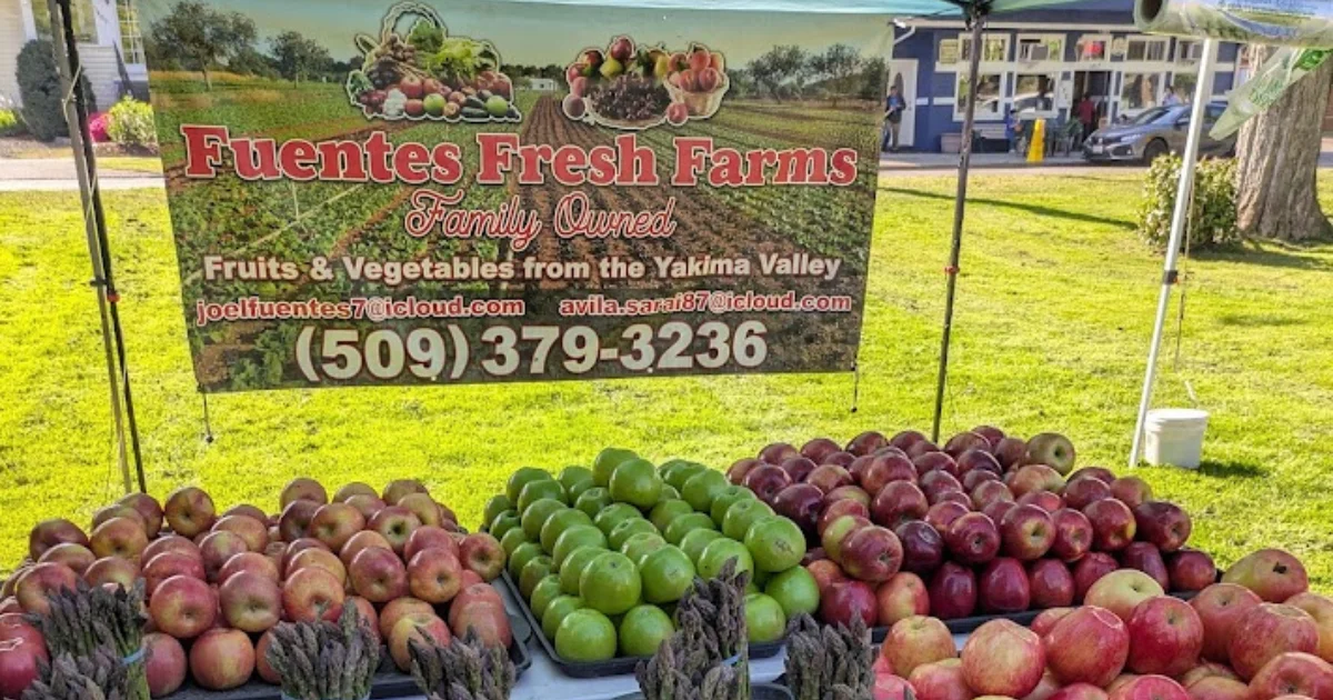 The Bremerton Farmers Market: Hidden Value For Homeowners