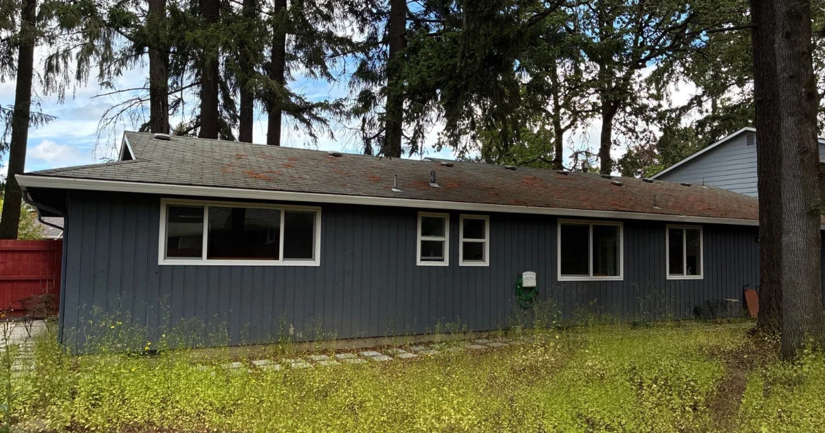 roof in PNW with tree coverings