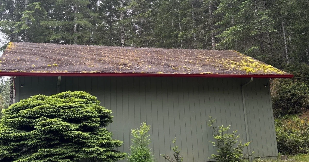 siding failure signs