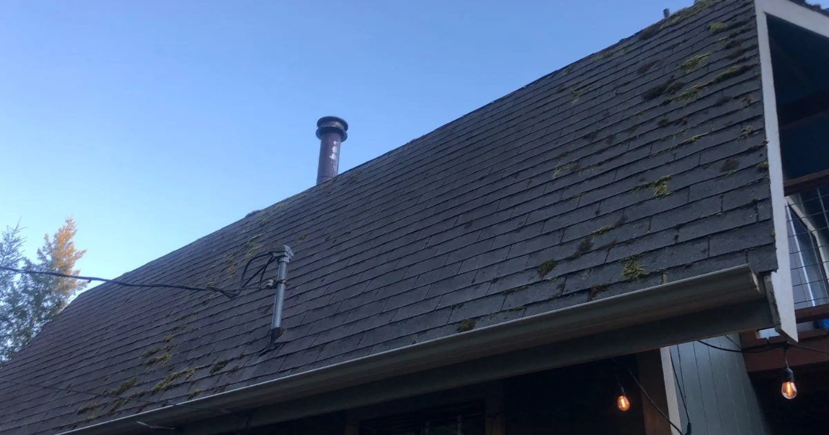 moss buildup on home