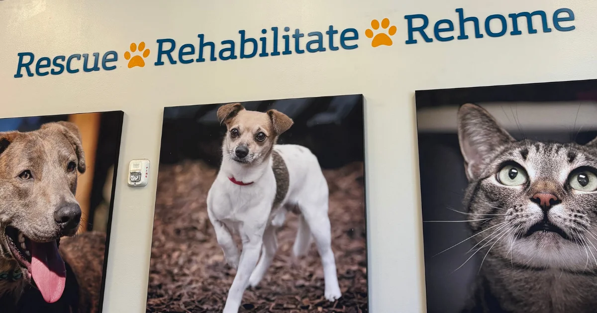 Community involvement, supporting our local humane society