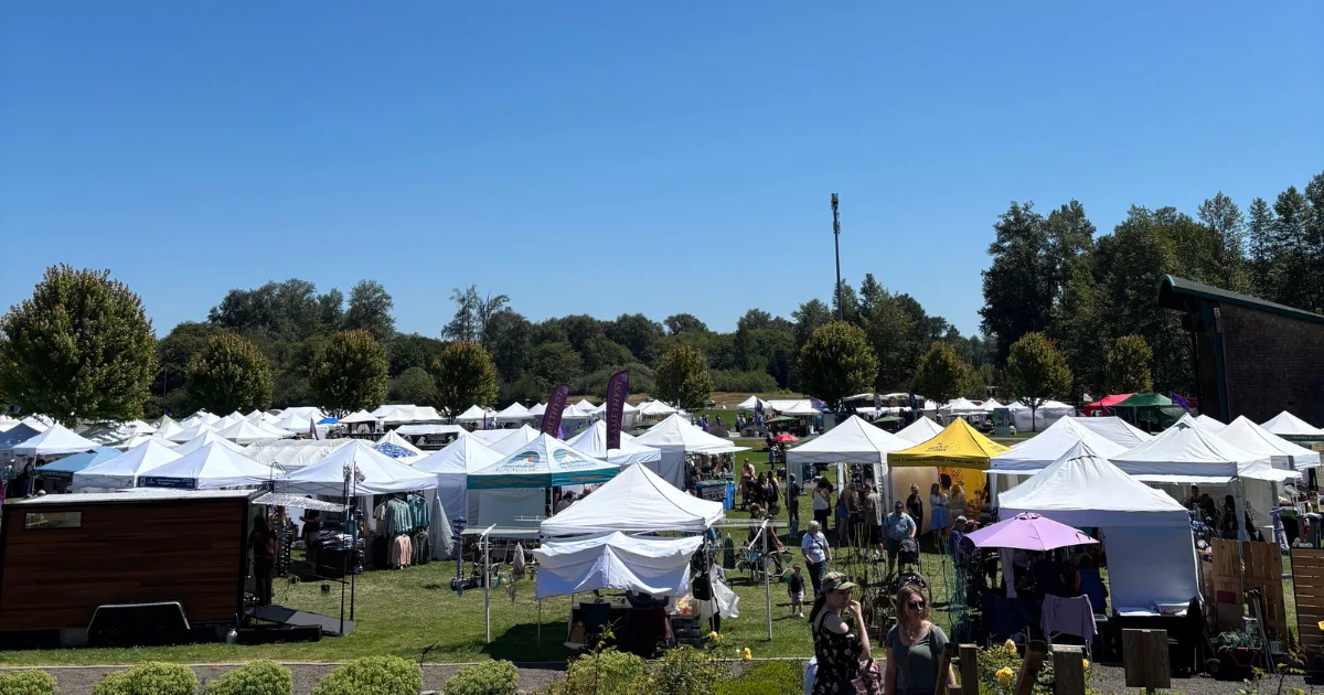 lavender festival