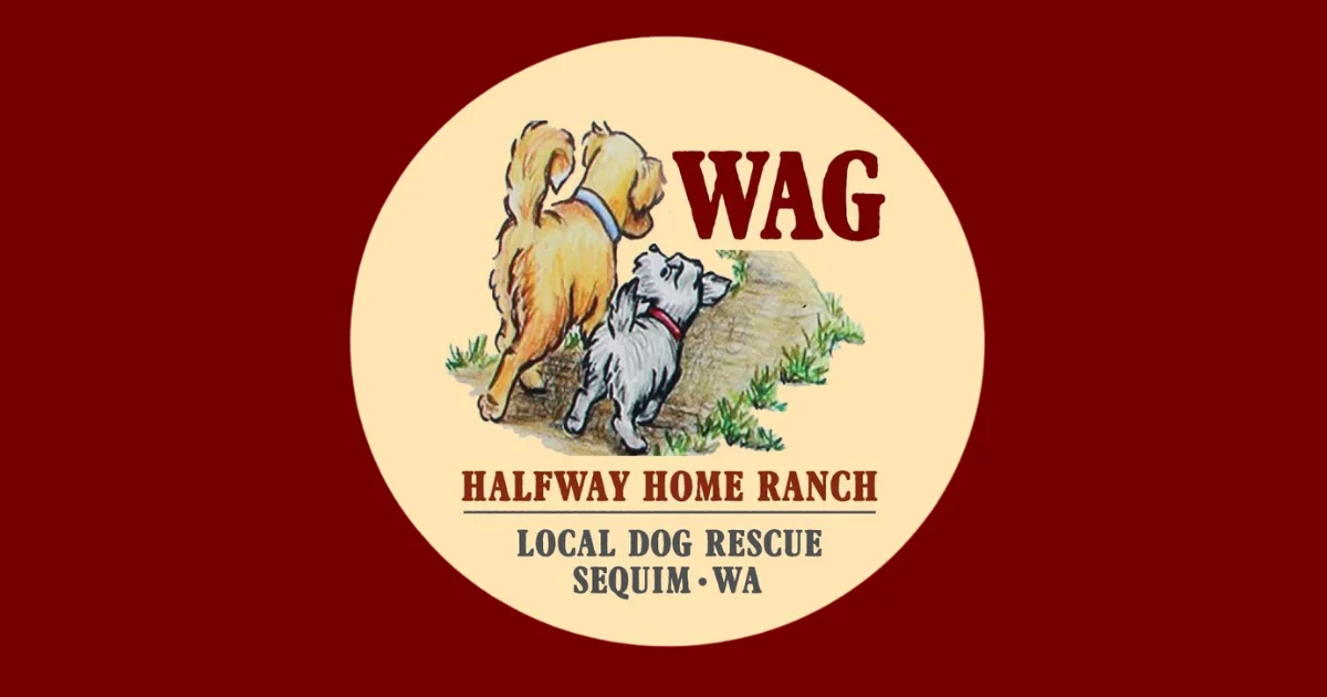 Inside WAG: A Closer Look at Rescue, Community & Second Chances