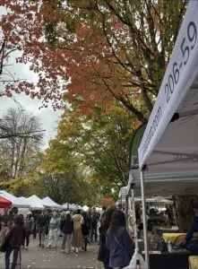 Celebrating Community and Tradition at Salmon Days
